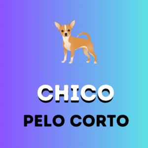 CHICO-Pelo Corto