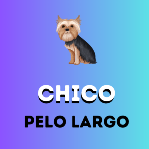 CHICO-Pelo Largo