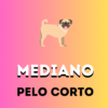 MEDIANO-Pelo Corto
