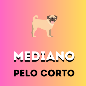 MEDIANO-Pelo Corto