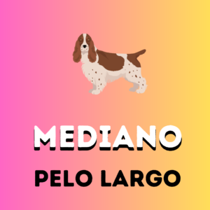 MEDIANO-Pelo Largo