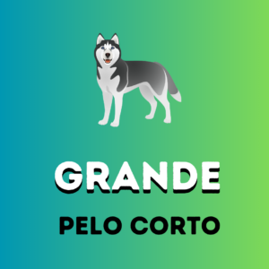 GRANDE-Pelo Corto