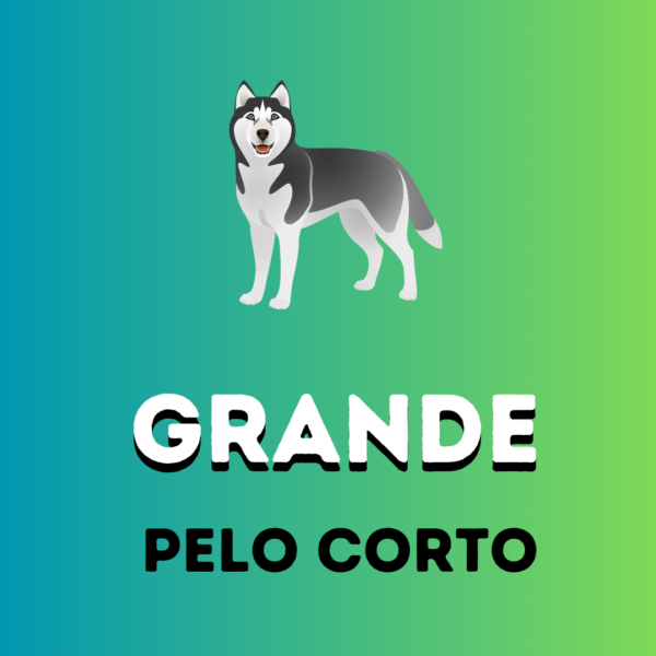 GRANDE-Pelo Corto