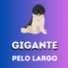 GIGANTE-Pelo Largo