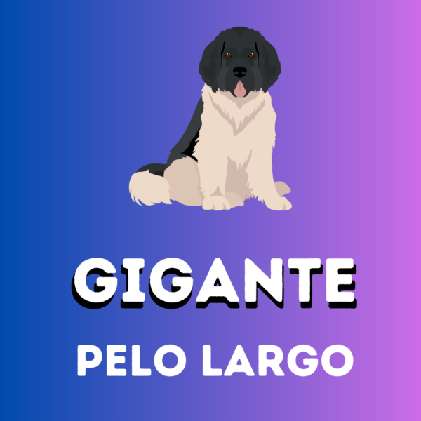 GIGANTE-Pelo Largo