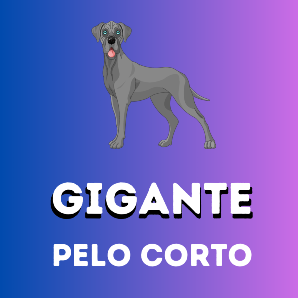 GIGANTE-Pelo Corto