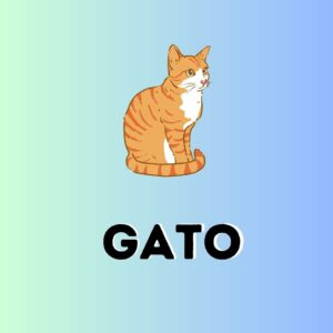 GATO